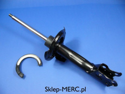 Amoryyzator przód W  W 245