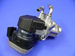 Zawór EGR W 169  W 245