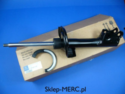 Amoryyzator przód W  W 245