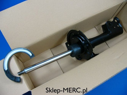 Amoryyzator przód W  W 245