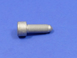 Śruba mocowania koła dwumasowego  M10X1X28.5 