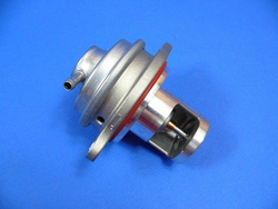 Zawór EGR W 169  W 245